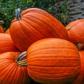pumpkin-3210294