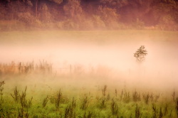 landscape-3358862