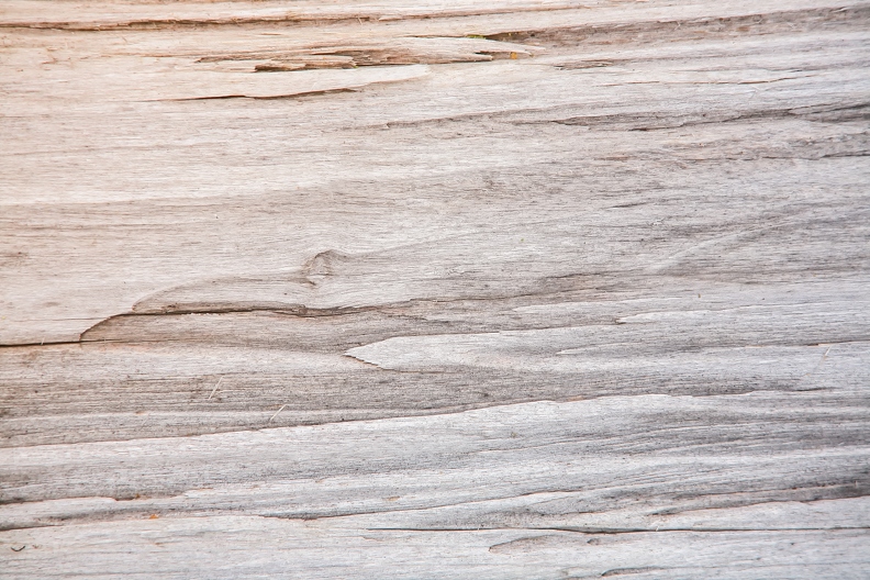 holzmaserung-1 - holzmaserung-1.jpg holzmaserung-1.jpg