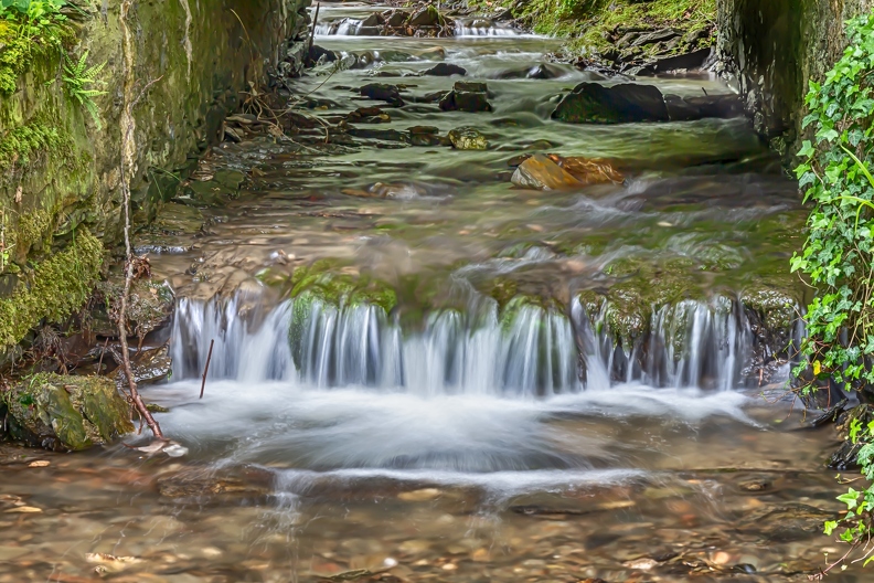 lisa wasserfall-.jpg