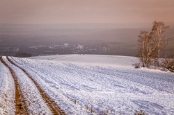winterland