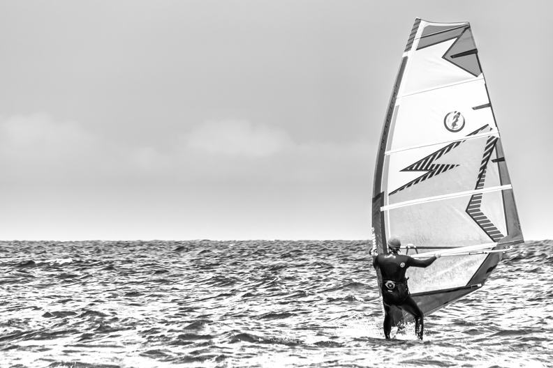 surfer sw - surfer sw-.jpg surfer sw-.jpg