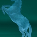 hologramm pferd blaugrau